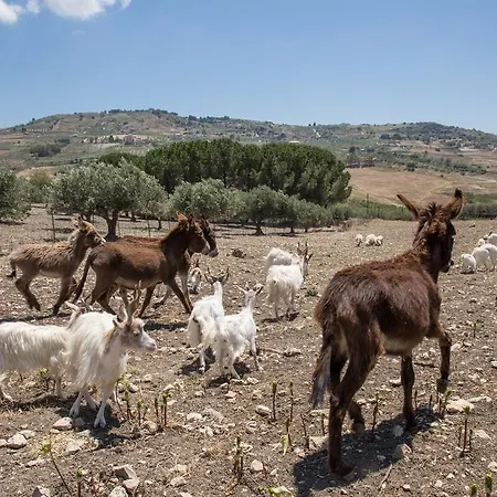 Bed & Breakfast Diana Agrigento